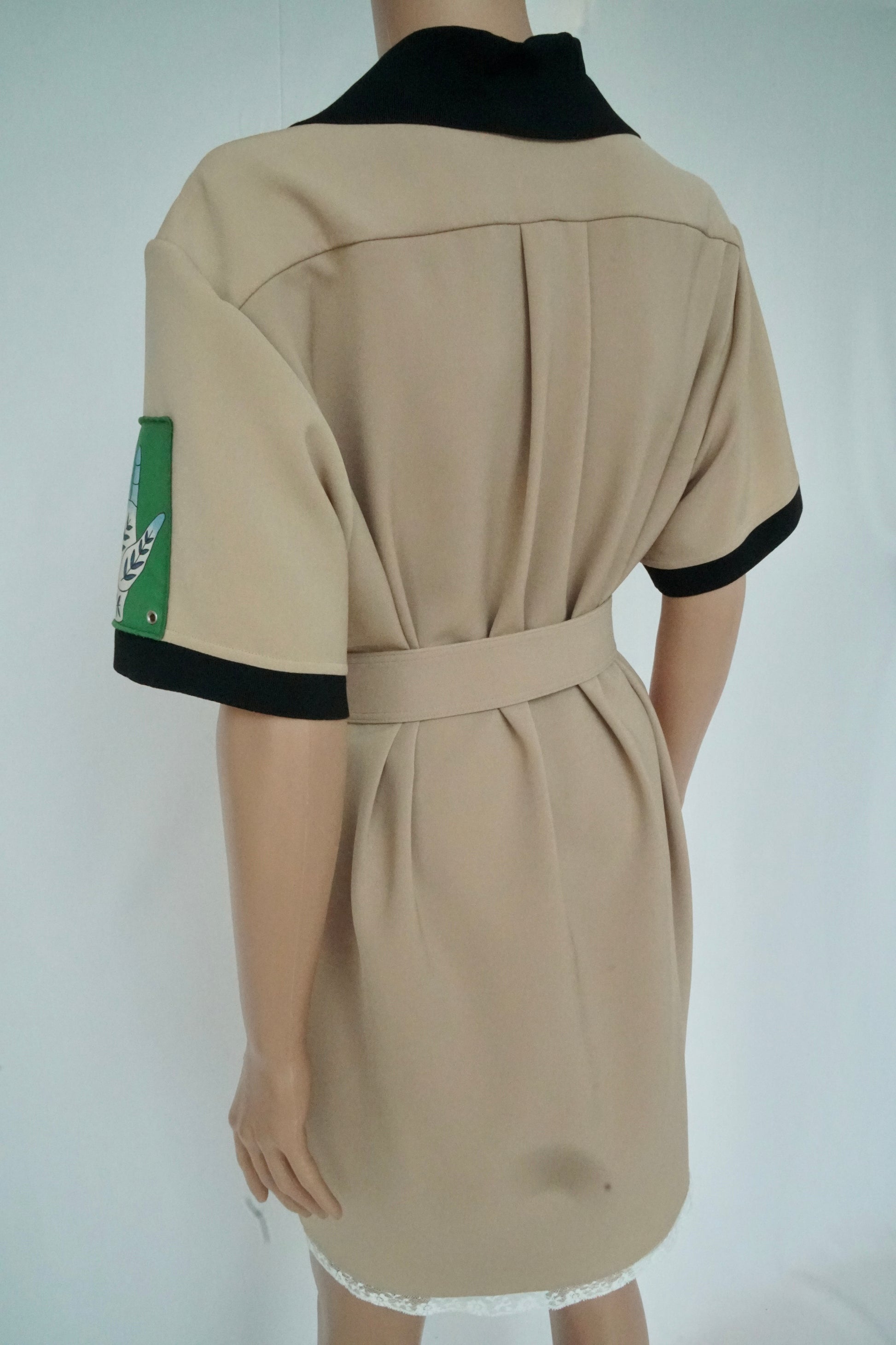 Coffee Brown Belted Dress